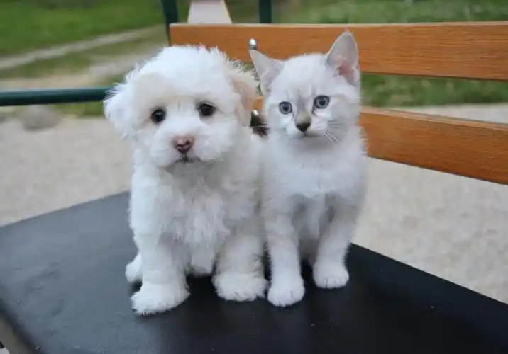 1759211866135038.png image.png