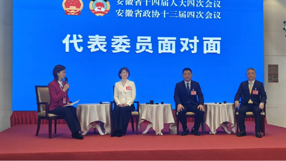 代表委员面对面 | 为发展新质生产力建言献策