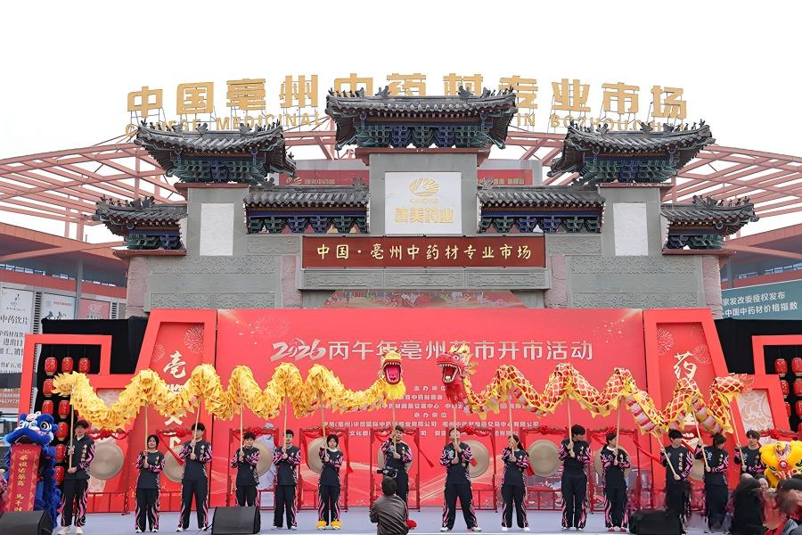 安徽亳州：马年药市开市