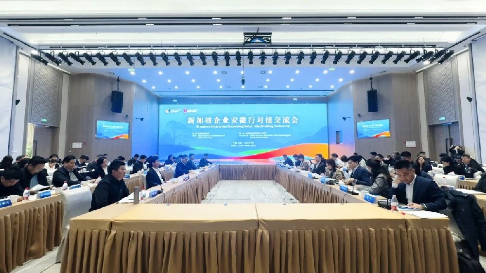 28家新加坡企业组团到安徽，聊了什么？