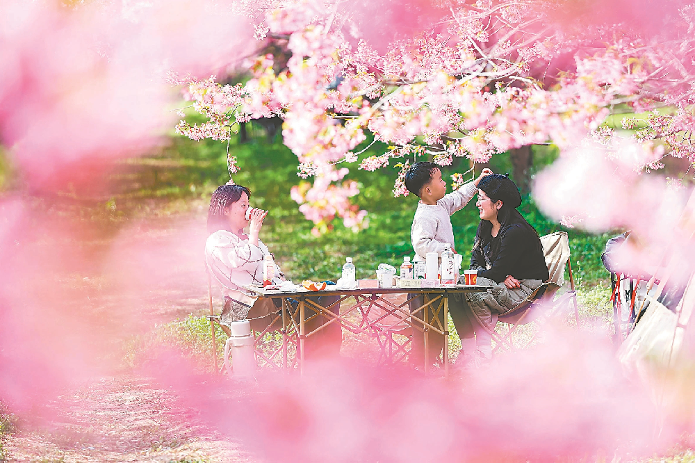 宝藏小城，“小而美”可以有大作为